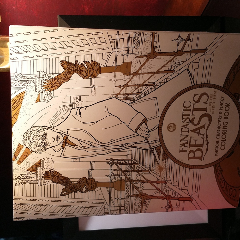 Fantastic Beasts & Where To Find Them Magical Characters & Places Coloring Book